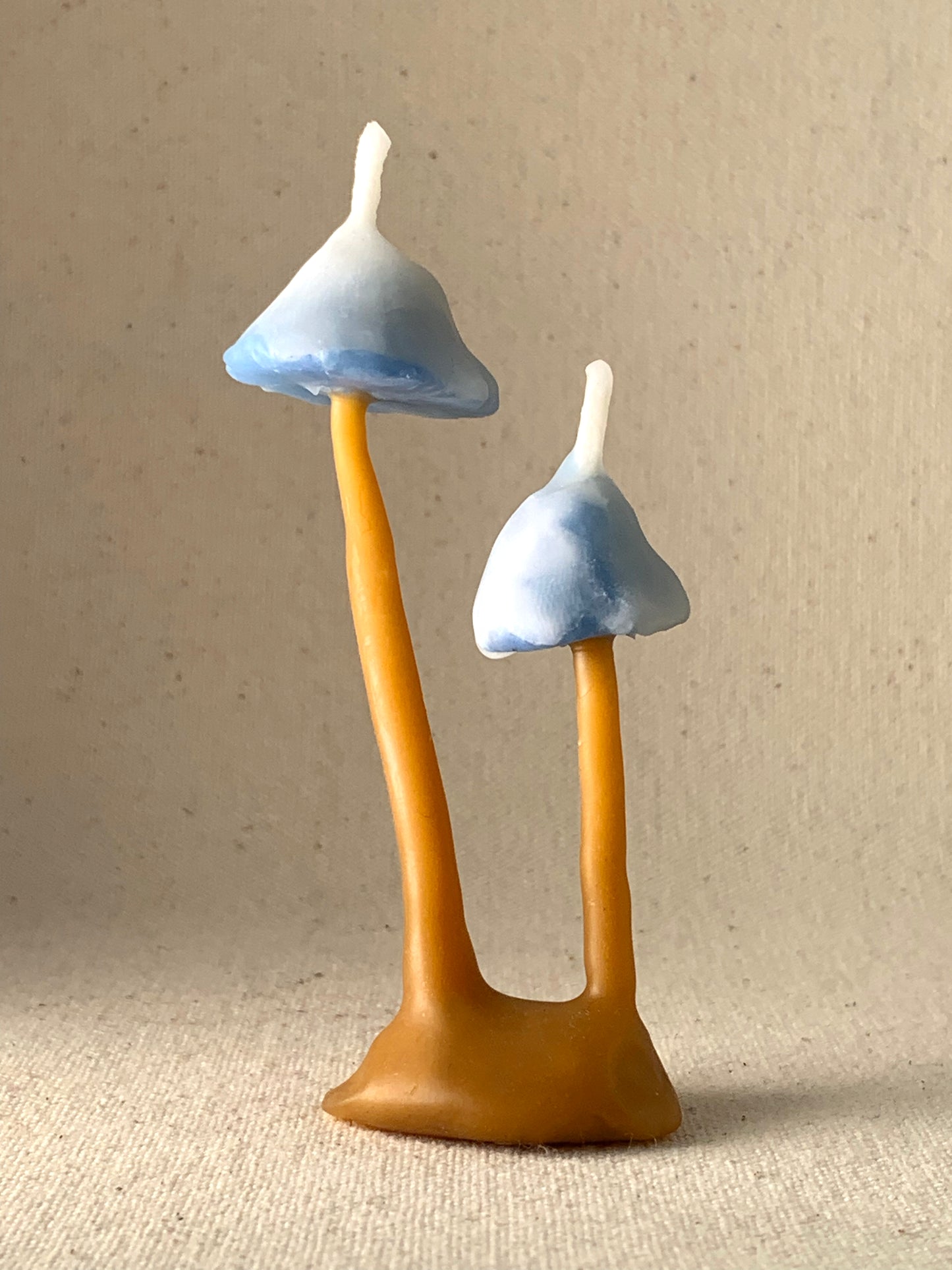 BLUET MUSHROOM CANDLE