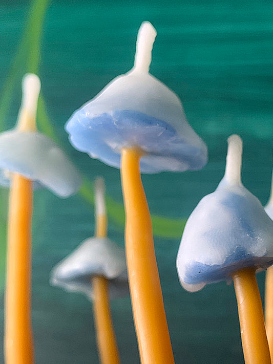 BLUET MUSHROOM CANDLE