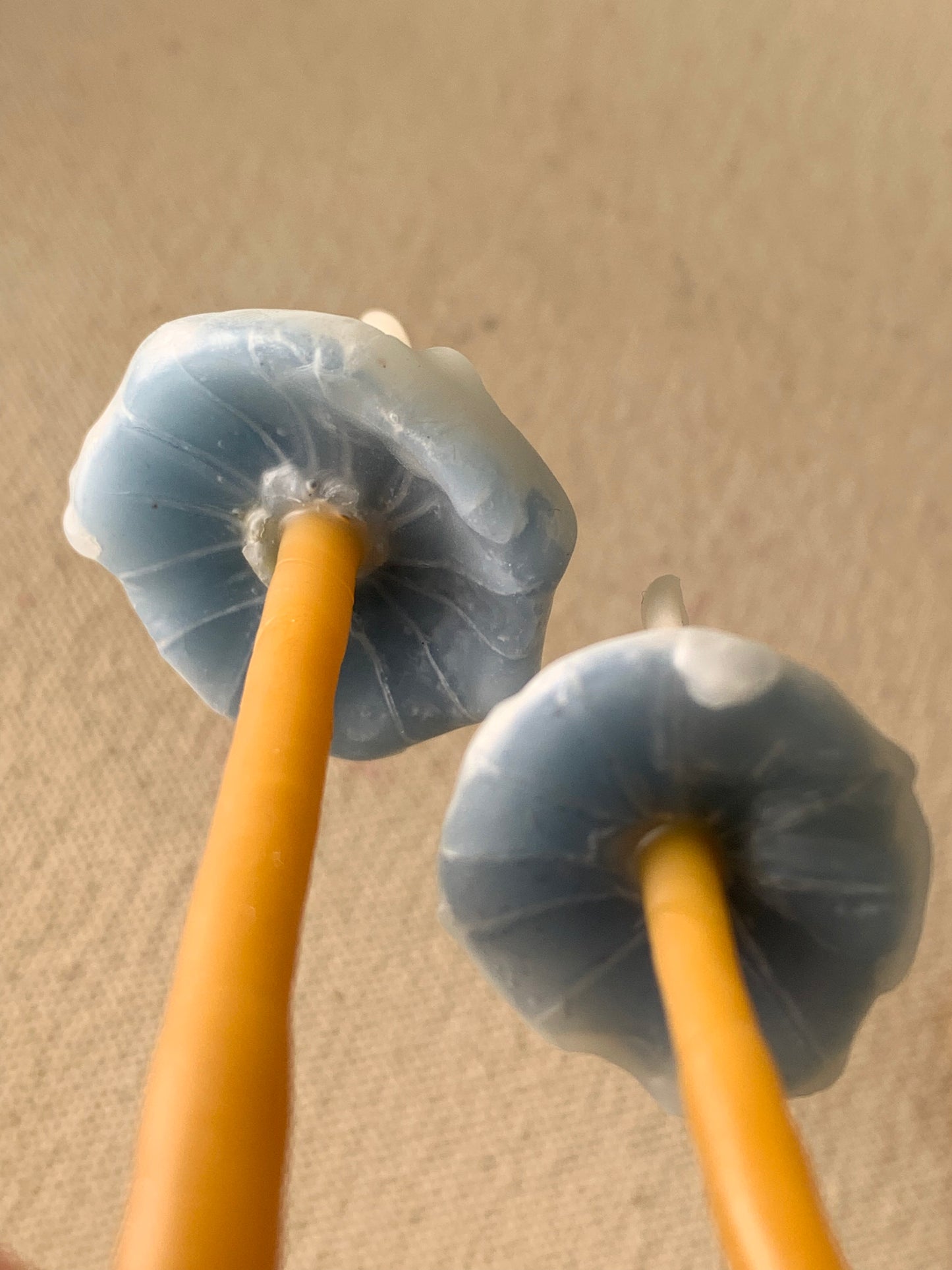 BLUET MUSHROOM CANDLE