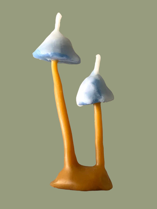 BLUET MUSHROOM CANDLE
