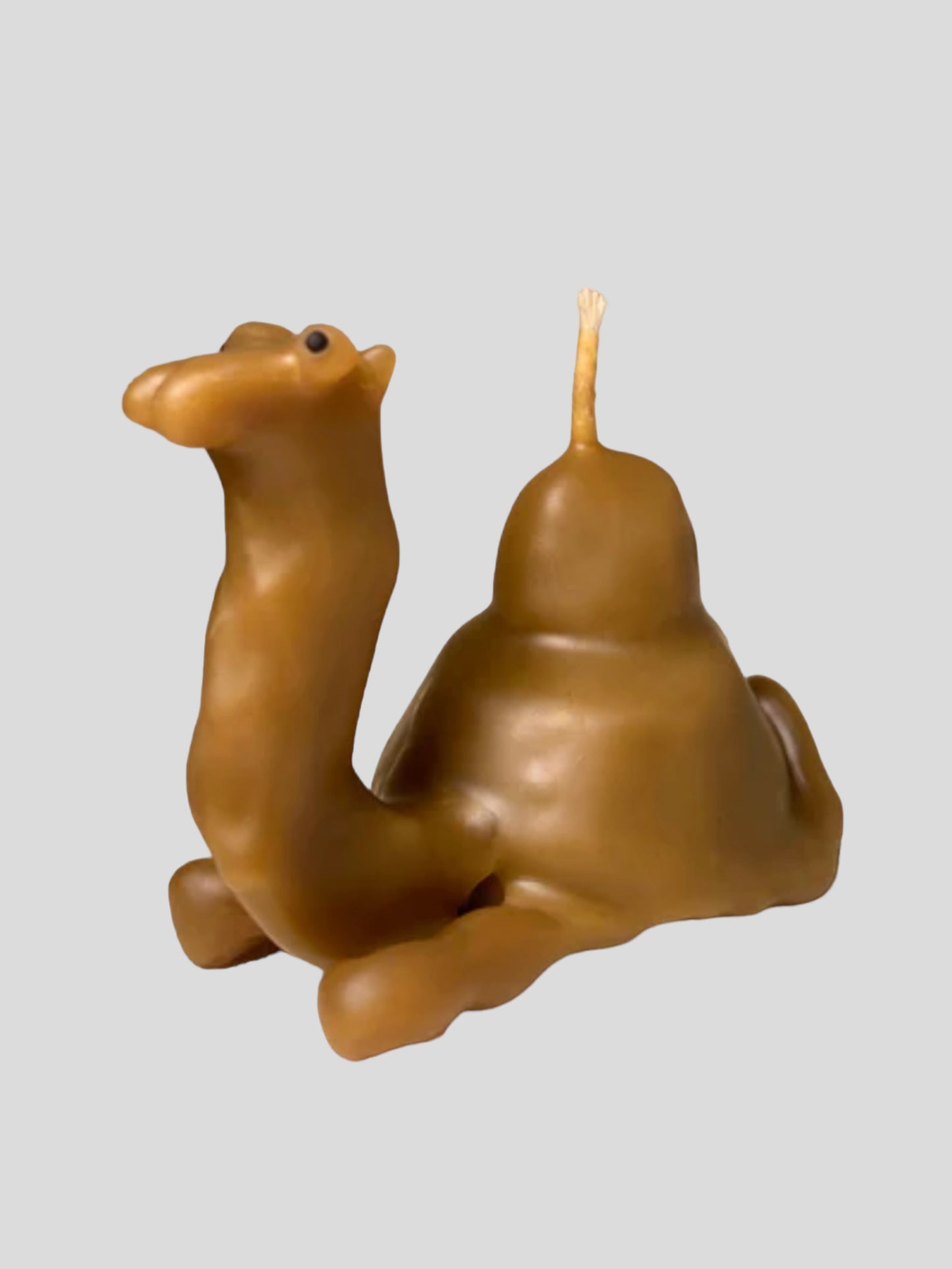 CARAMEL CAMEL