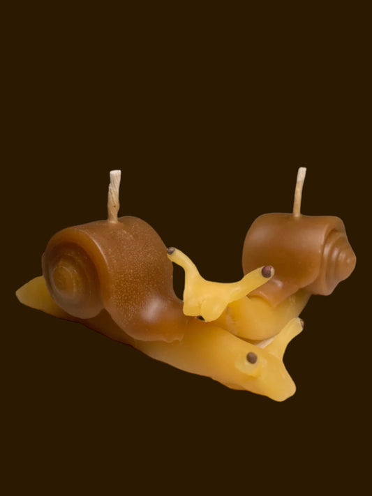 SNAIL MATES