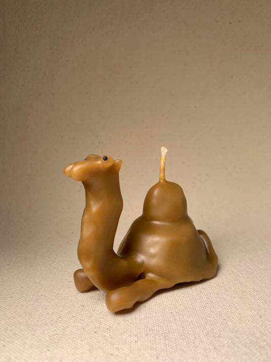 CARAMEL CAMEL